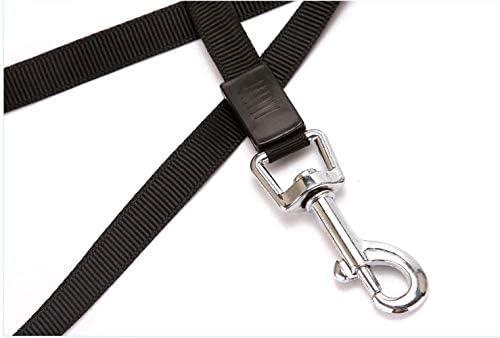 5-Meter Extra Long Retractable/Strap Leash for Dogs & Cats - Multicolor