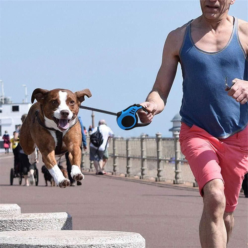 5-Meter Extra Long Retractable/Strap Leash for Dogs & Cats - Multicolor